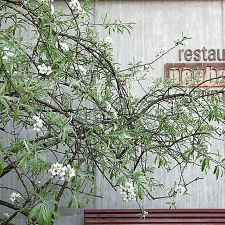 Neuhaus Golf-&strandhotel 3* Unterseen