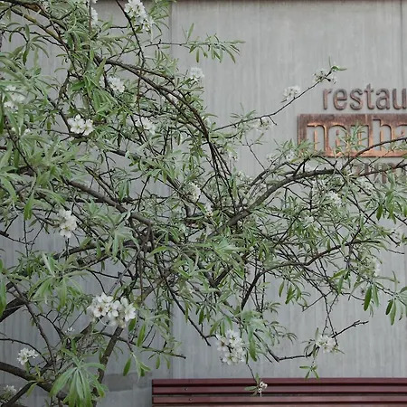 Neuhaus Golf- & Strandhotel Отель Unterseen