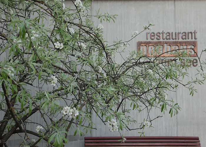 Neuhaus Golf- & Strandhotel Hotel Unterseen