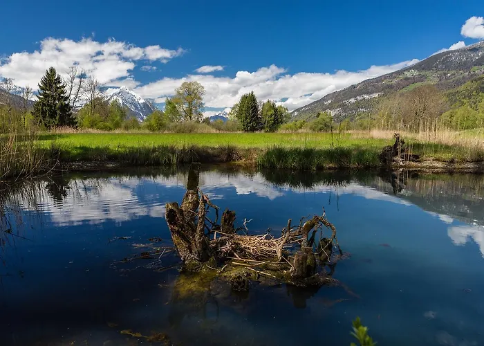 Neuhaus Golf- & Strandhotel فندق Unterseen
